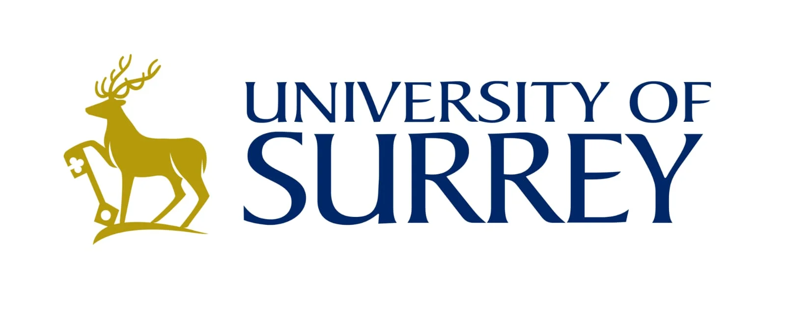 University of Surrey